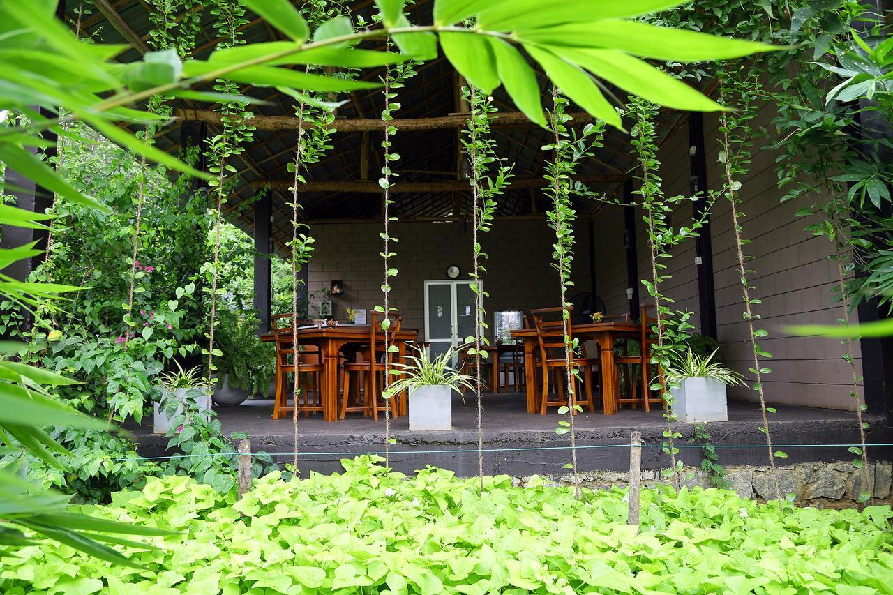 หันตรา อุดาวาลาวา Hotel อุดาวาลาเว ภายนอก รูปภาพ