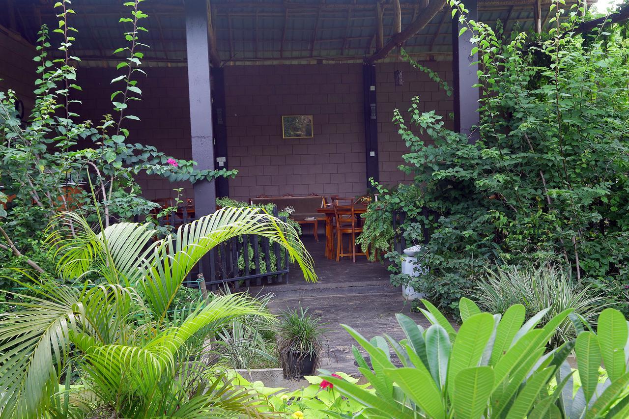 หันตรา อุดาวาลาวา Hotel อุดาวาลาเว ภายนอก รูปภาพ