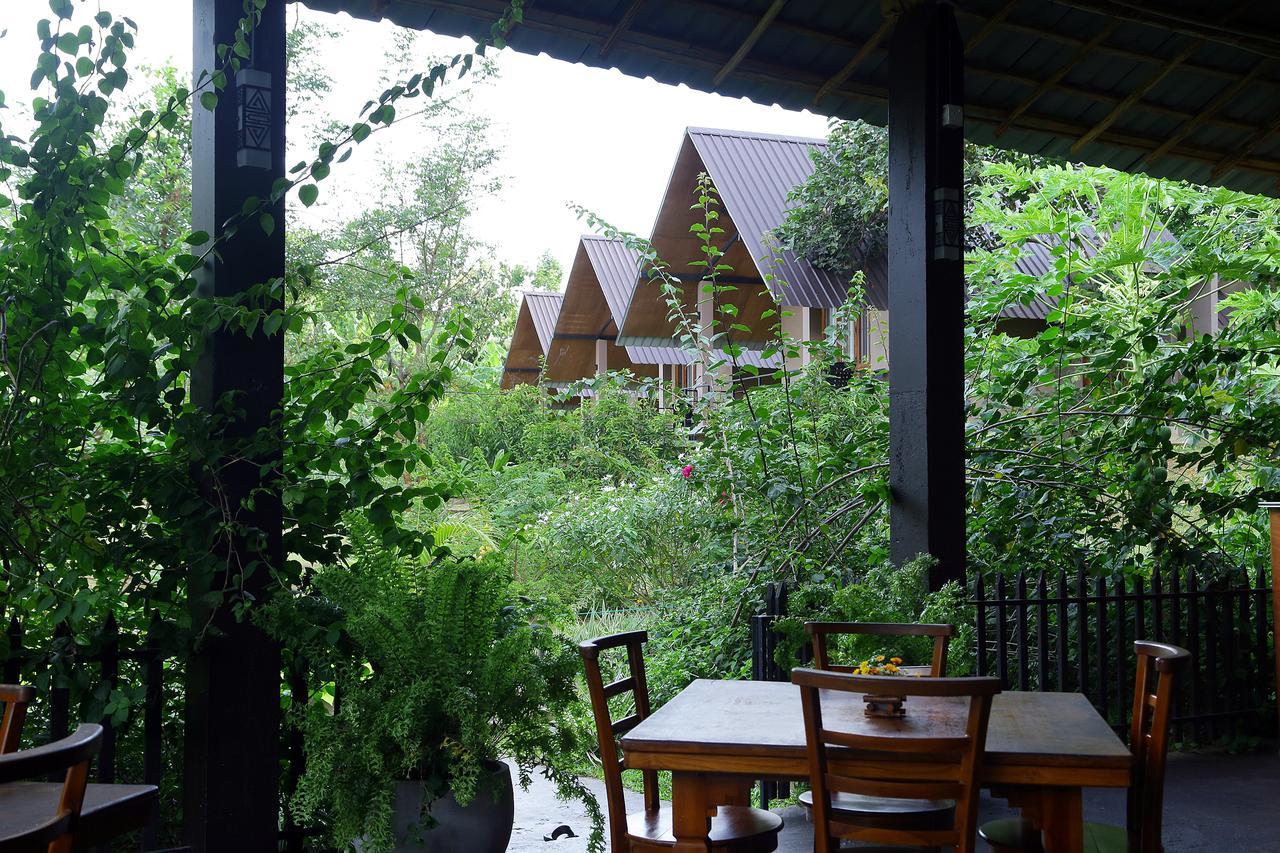 หันตรา อุดาวาลาวา Hotel อุดาวาลาเว ภายนอก รูปภาพ