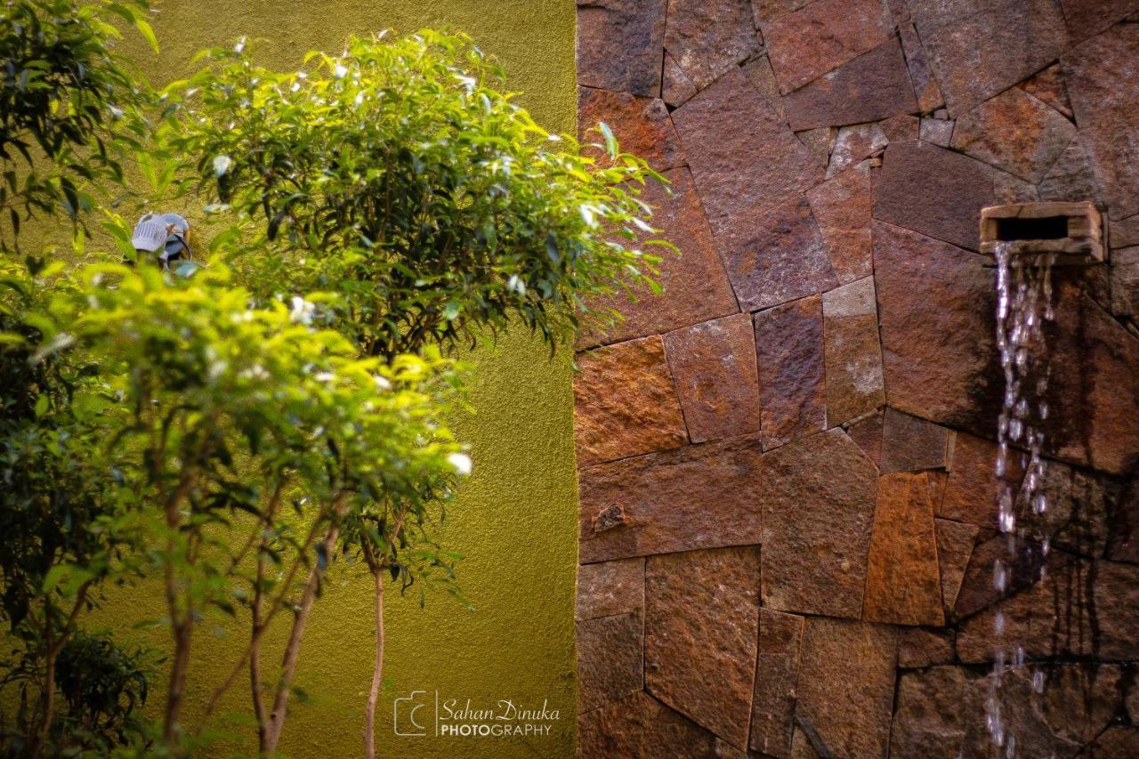 หันตรา อุดาวาลาวา Hotel อุดาวาลาเว ภายนอก รูปภาพ